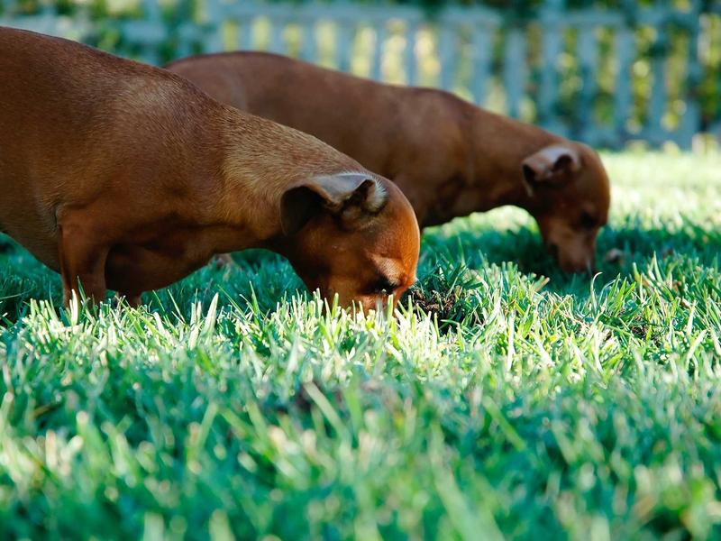 sudoku no solution screenshot 2