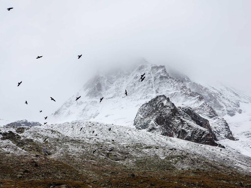 sudoku simple coloring screenshot 3